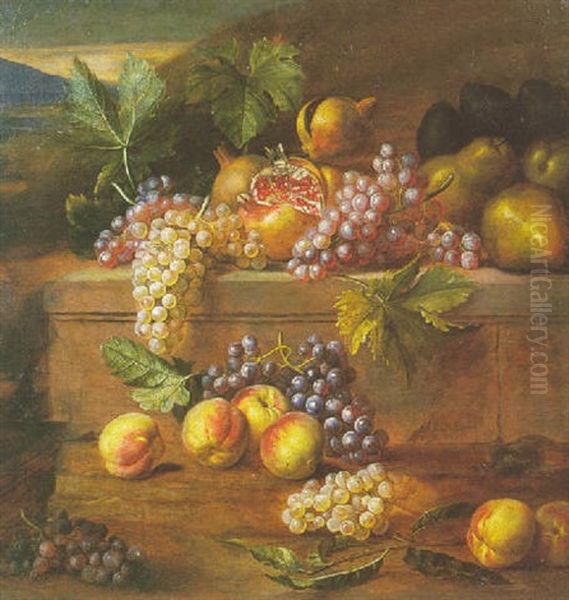 Nature Morte A La Grenade, Aux Raisins Et Autres Fruits Oil Painting by Jan Pauwel Gillemans The Elder