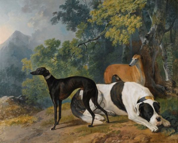 Two Greyhounds And A Mastif Belonging To The Duke Of Hamilton Oil Painting by Sawrey Gilpin