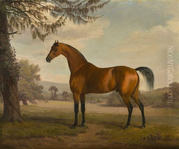 A Chestnut Arab Stallion In A Landscape Oil Painting by Sawrey Gilpin