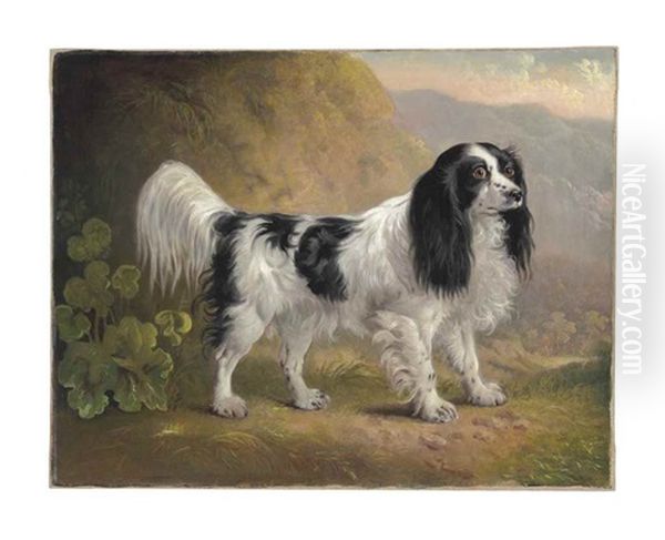 A Black And White English Springer Spaniel In A Landscape Oil Painting by Sawrey Gilpin