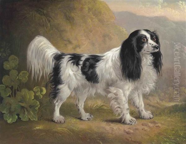 A Black And White English Springer Spaniel In A Landscape Oil Painting by Sawrey Gilpin