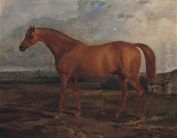 Lord Grosvenor's Chestnut Colt Meteor by Sawrey Gilpin