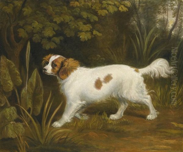 A Cavalier King Charles Spaniel In A Landscape Oil Painting by Sawrey Gilpin