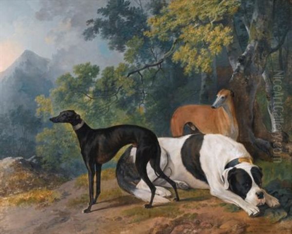 Two Greyhounds And A Mastif Belonging To The Duke Of Hamilton Oil Painting by Sawrey Gilpin