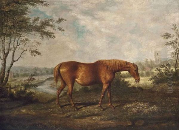 The Old Tartan Mare In Her 28th Year, Belonging To Dennis O'kelly Esq Oil Painting by Sawrey Gilpin