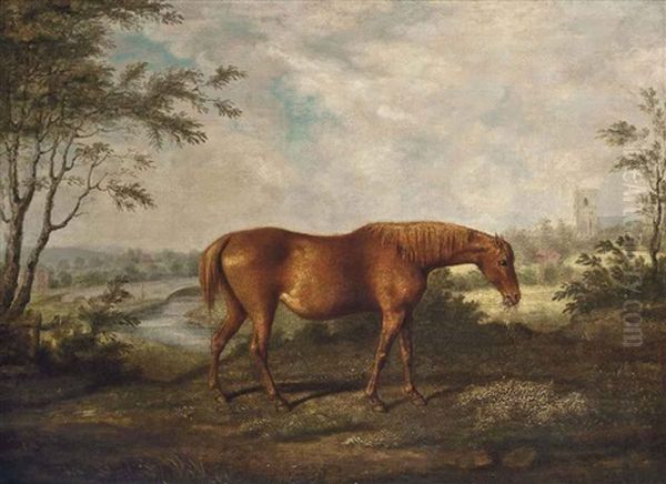 The Old Tartan Mare In Her 28th Year, Belonging To Dennis O'kelly Esq Oil Painting by Sawrey Gilpin