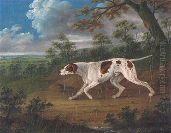 A Pointer In A Wooded Landscape Oil Painting by Sawrey Gilpin