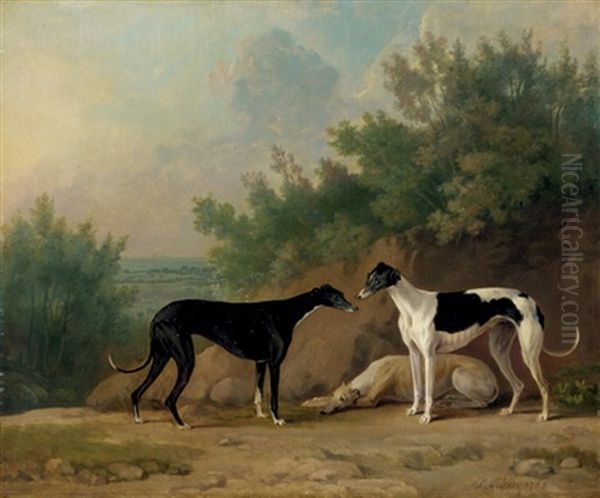 Three Greyhounds Oil Painting by Sawrey Gilpin