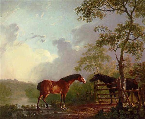 A Mare And Stallion In A Wooded Landscape, Beside A Lake Oil Painting by Sawrey Gilpin