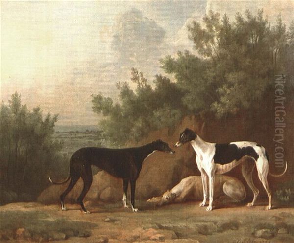 Three Greyhounds Oil Painting by Sawrey Gilpin