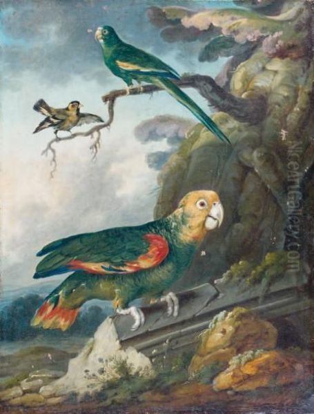 Perroquet Et Oiseaux Oil Painting by Jean Jacques Bachelier