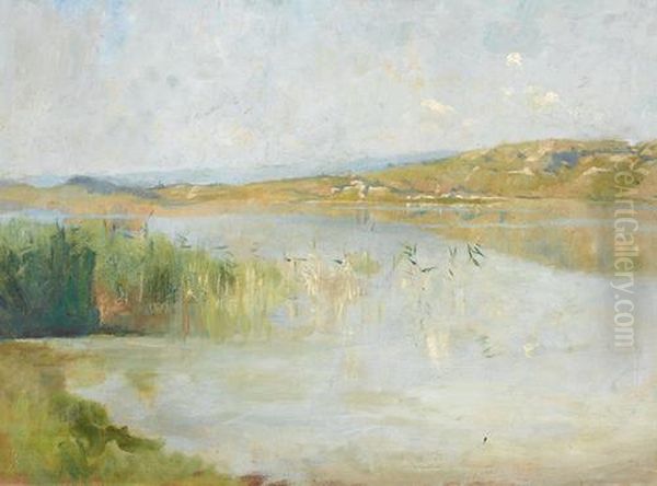 Lac De Neuchatel Oil Painting by Auguste Bachelin