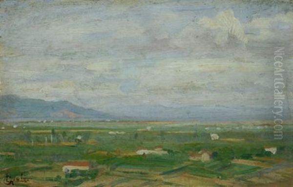 Campagna Pisana Oil Painting by Luigi Gioli