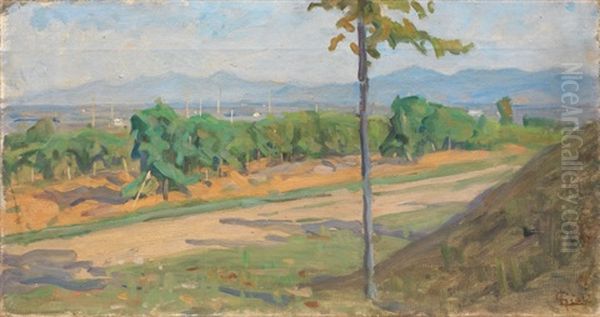 Campagna Pisana Oil Painting by Luigi Gioli