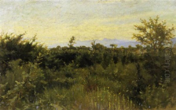 Bosco A Fauglia, 1892 by Luigi Gioli