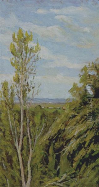 Paesaggio Di Fauglia Oil Painting by Luigi Gioli