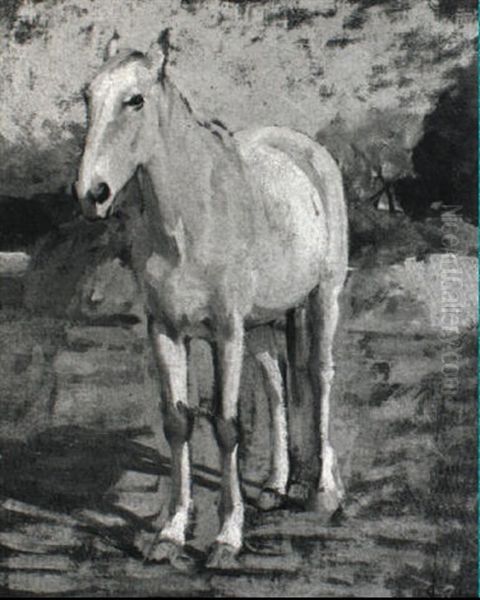 Cavallo Bianco Oil Painting by Luigi Gioli