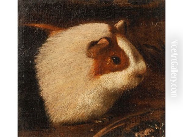 Head Of A Guinea Pig Oil Painting by  Giovanni da Udine