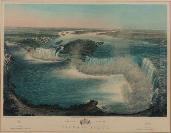 Bird's Eye View Of Niagara Falls Oil Painting by John Bachman