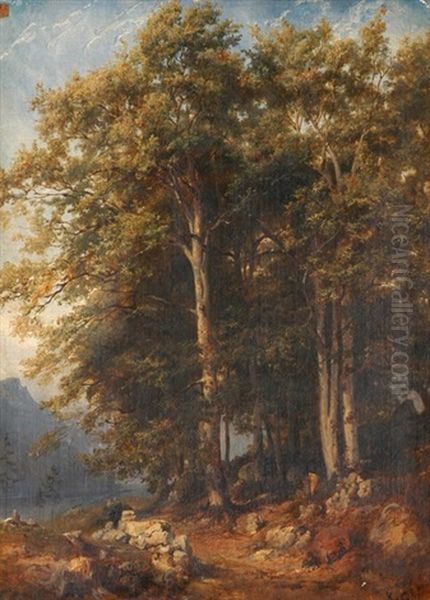 Etude De Hetres Sur Le Flueberg Pres Brienz Oil Painting by Karl Girardet