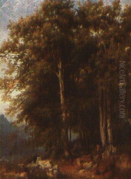 Etude De Hetres Sur Le Flueberg Pres Brienz Oil Painting by Karl Girardet