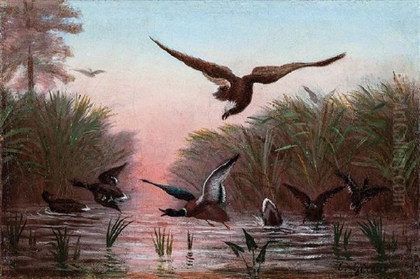 Mallards In Flight, Descent Of Bald Eagle At Dawn Oil Painting by Charles Giroux