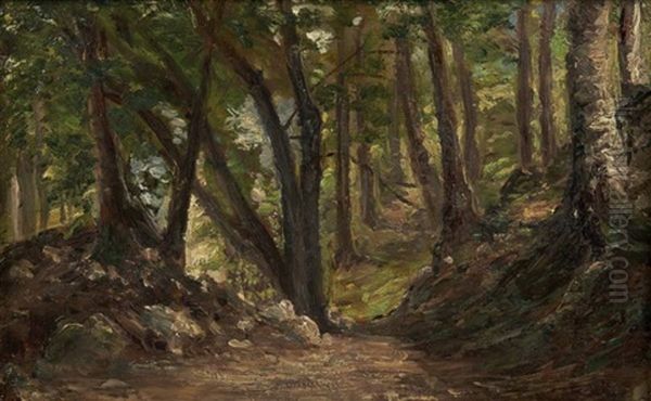 Chemin Dans Un Sous-bois Oil Painting by Andre Giroux