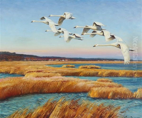 Scenery With Flying Swans Oil Painting by William Gislander