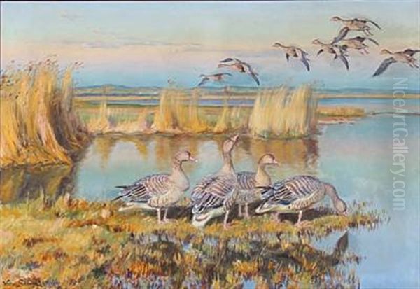 Summer Evening With Geese At A Coast Oil Painting by William Gislander