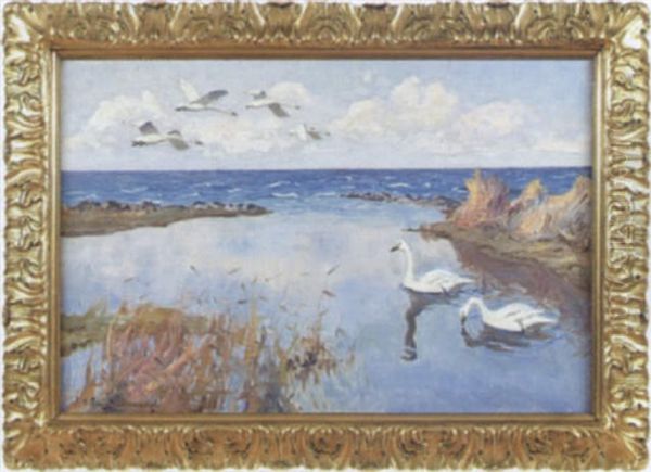 Svanar I Strandkant Oil Painting by William Gislander