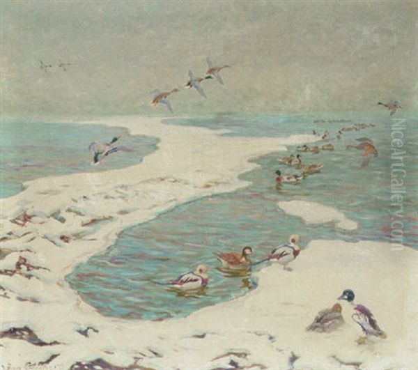 Havlitter Og Aender I Strandkanten, Vinter Oil Painting by William Gislander