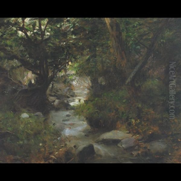 A Forest Stream Oil Painting by Gyula Glatter