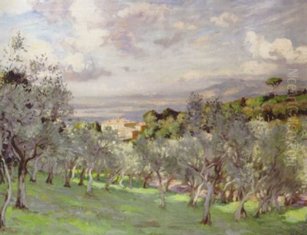 The Olive Grove Oil Painting by Wilfred Gabriel De Glehn