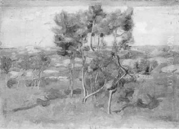 Landscape With Pines, South Of France by Wilfred Gabriel De Glehn