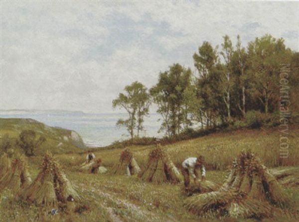 In The Cornfields, Near Luccombe, Isle Of Wight Oil Painting by Alfred Glendening Jr.