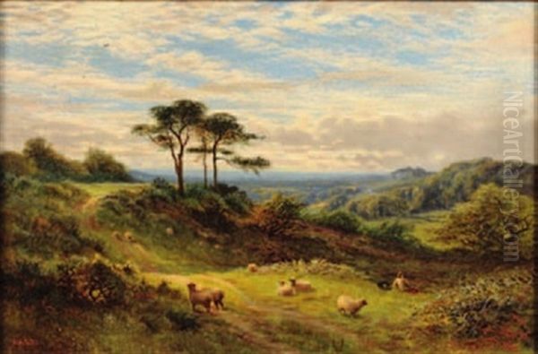 Open Landscape, Shepherd Oil Painting by Alfred Augustus Glendening Sr.