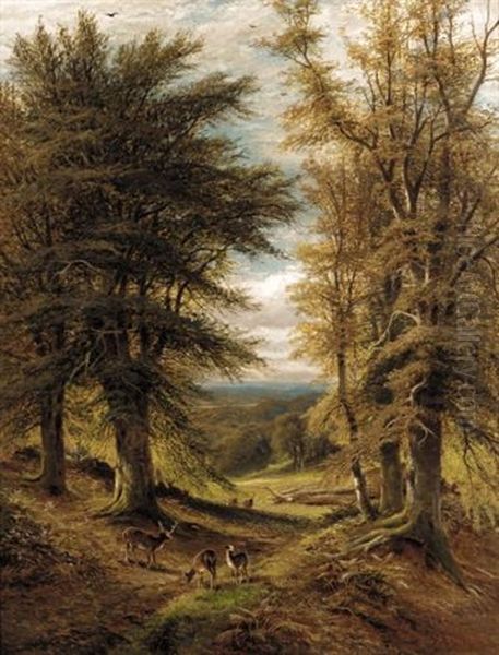 Deer In A Woodland Clearing Oil Painting by Alfred Augustus Glendening Sr.