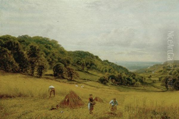 Harvesting At Luccombe, Isle Of Wight Oil Painting by Alfred Augustus Glendening Sr.