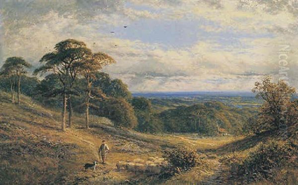 Herding Sheep, A Valley Behind Hampstead Oil Painting by Alfred Augustus Glendening Sr.