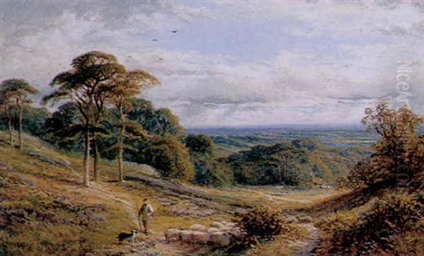 Herding Sheep, A Valley Behind Hampstead Oil Painting by Alfred Augustus Glendening Sr.