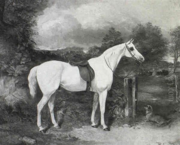 A Grey Pony Saddled Up And Waiting For Mistress Oil Painting by George Bouverie Goddard