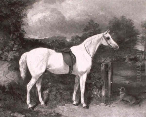 A Grey Pony Saddled Up And Waiting For Mistress Oil Painting by George Bouverie Goddard