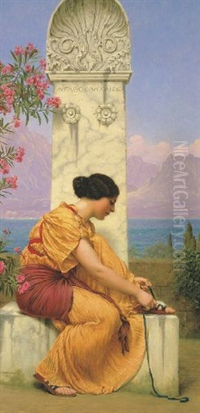 The Loosened Lace Oil Painting by John William Godward