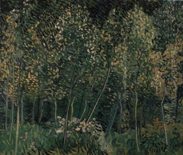 Sous-bois Oil Painting by Vincent Van Gogh