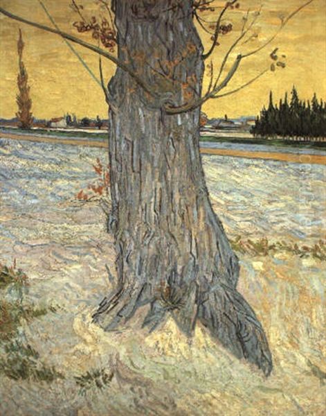 Le Vieil If Oil Painting by Vincent Van Gogh