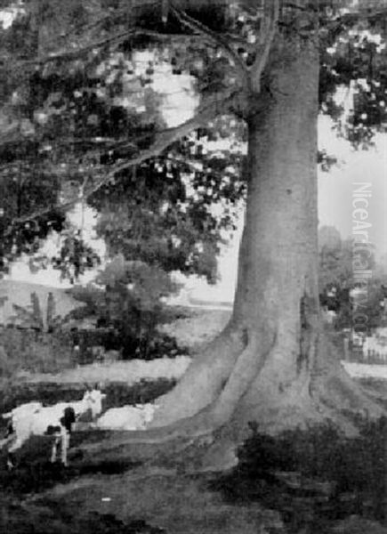 Goats Under A Shade Tree Oil Painting by Walter Dean Goldbeck