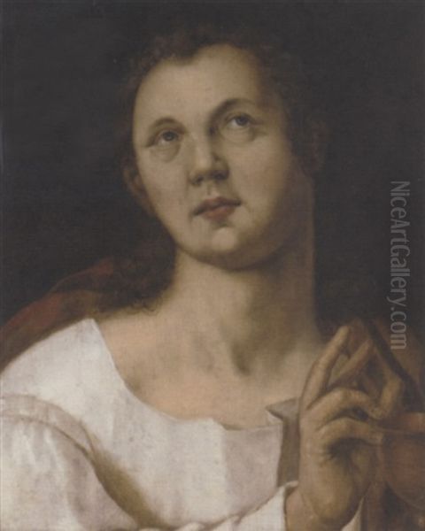 Saint John The Evangelist Oil Painting by Hendrik Goltzius