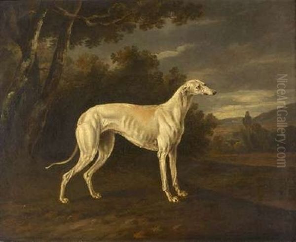 Study Of The Greyhound "waggoner" Oil Painting by Thomas Gooch