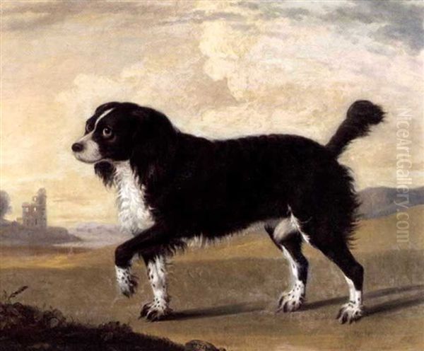 A Spaniel by Thomas Gooch