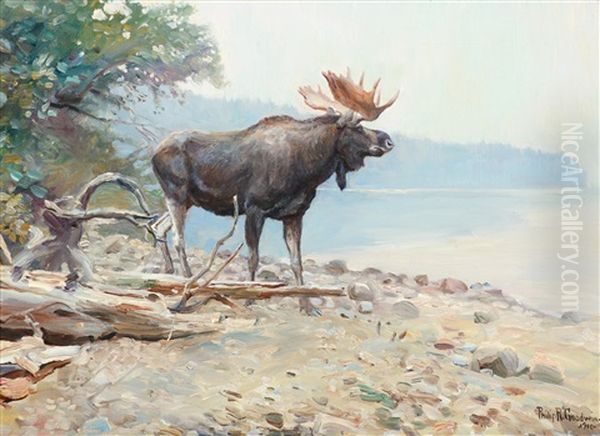 Moose At Lake Mcdonald Oil Painting by Philip Russell Goodwin